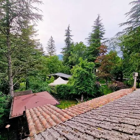 La Stella Alpina Tagliacozzo
