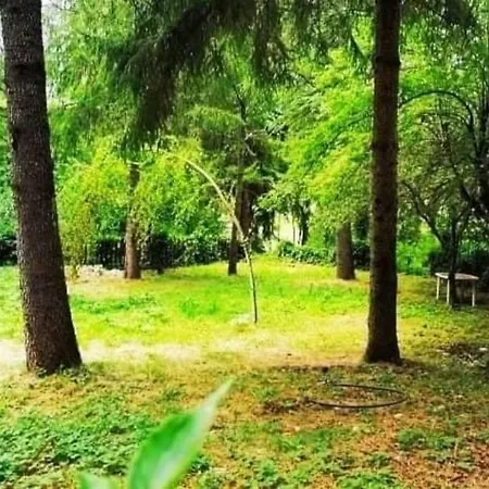 La Stella Alpina Apartman *