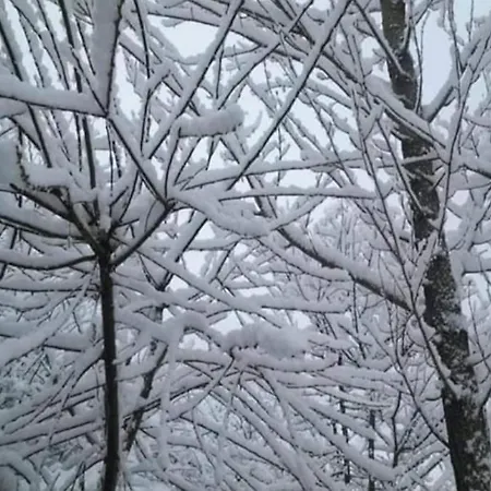 La Stella Alpina Tagliacozzo