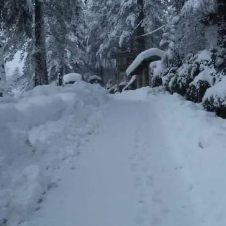 Apartman La Stella Alpina *