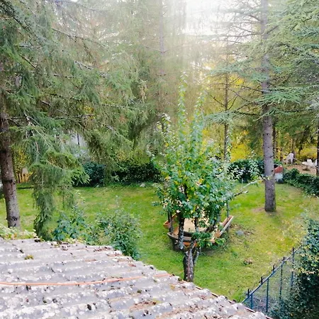 La Stella Alpina Tagliacozzo