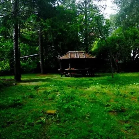 Apartman La Stella Alpina