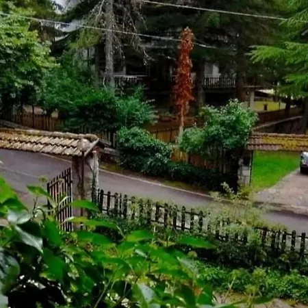 La Stella Alpina Apartman