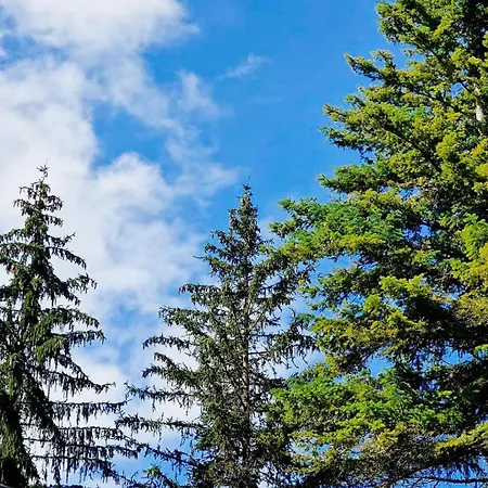 La Stella Alpina Apartman