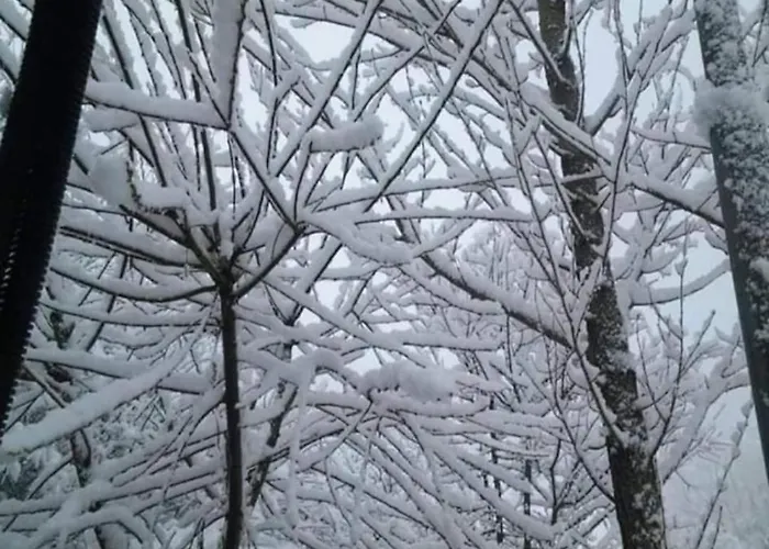 La Stella Alpina Tagliacozzo