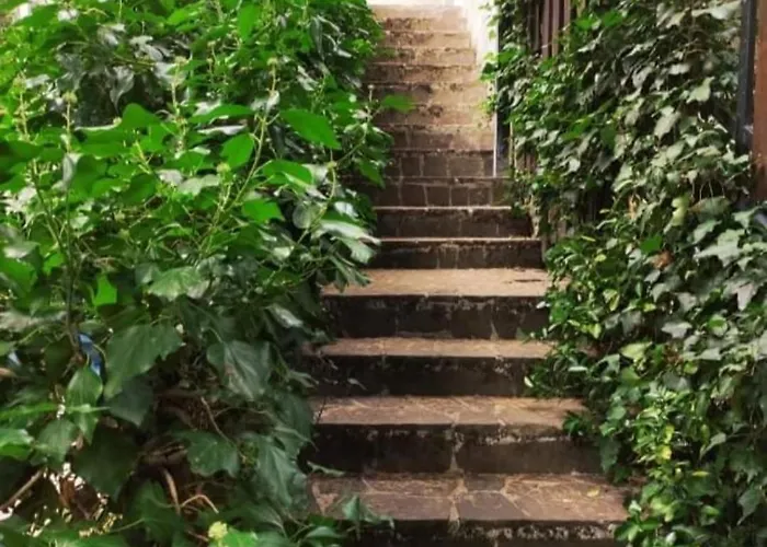 La Stella Alpina Apartamento Tagliacozzo